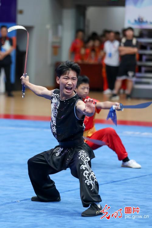 八闽武术大赛话传承