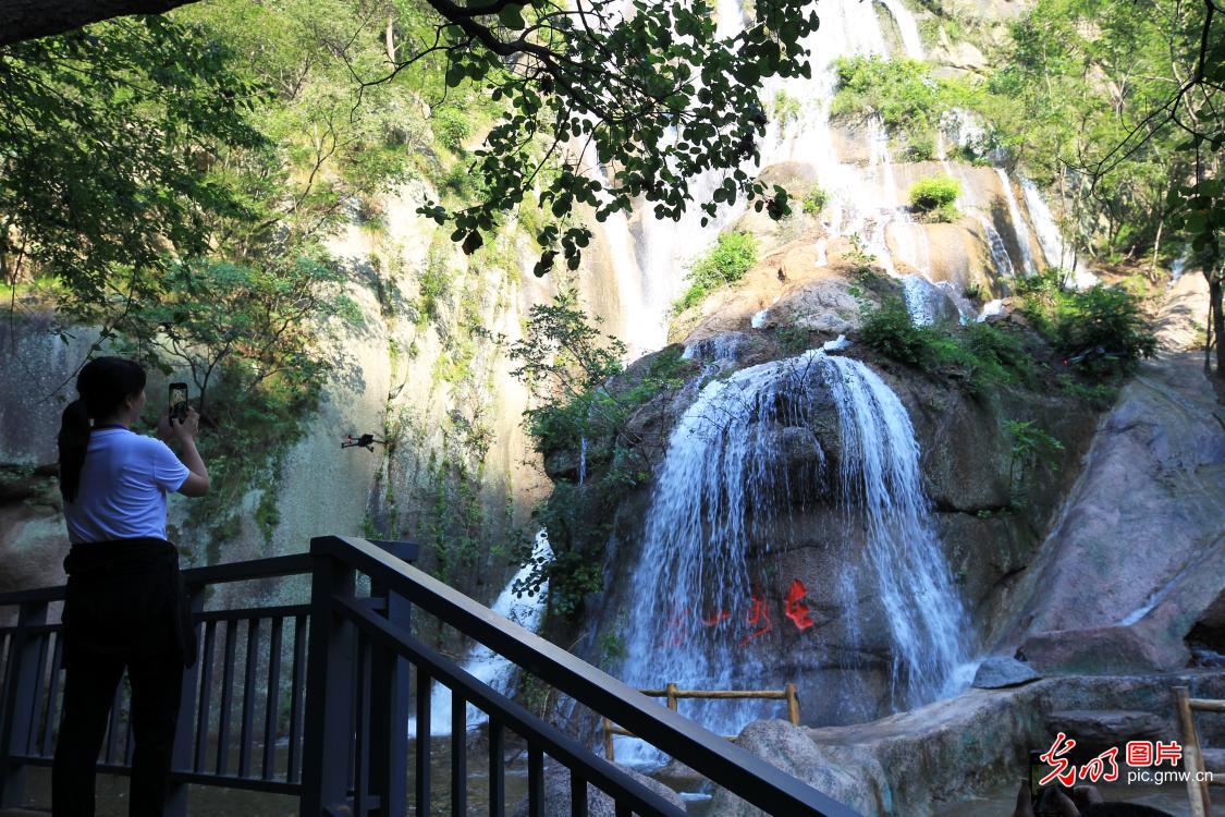 酷暑催热“清凉游”