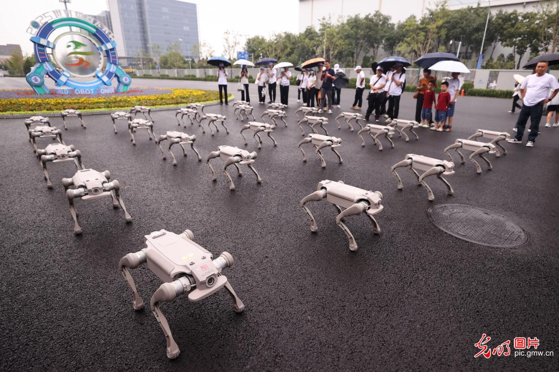 2025世界机器人大会在京开幕 2025世界机器人大会在京开幕