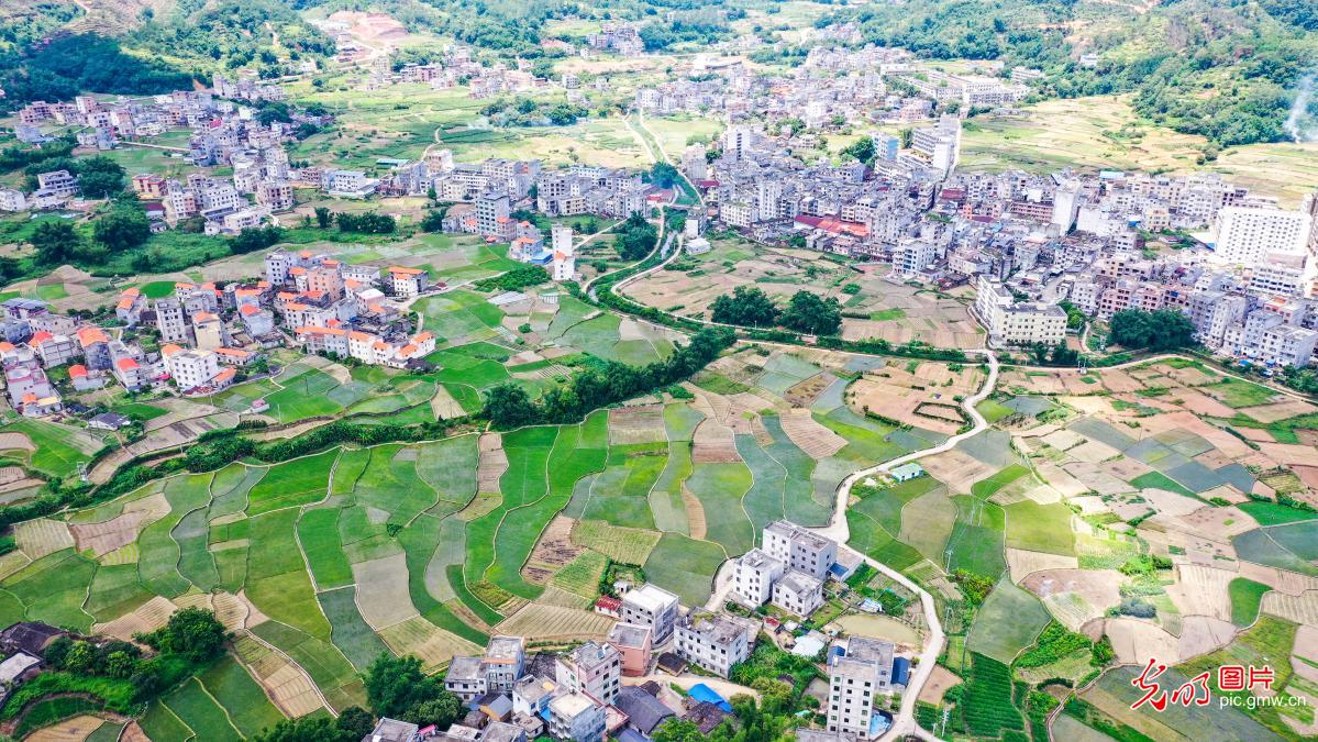 初秋乡村风景美如画