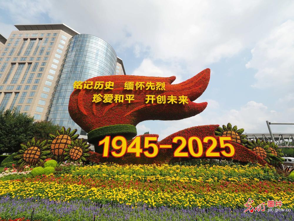 纪念抗战胜利80周年主题花坛亮相北京长安街