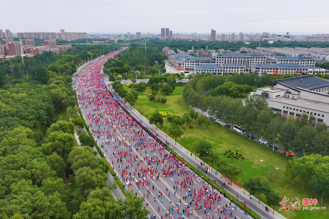 各地马拉松周末开跑