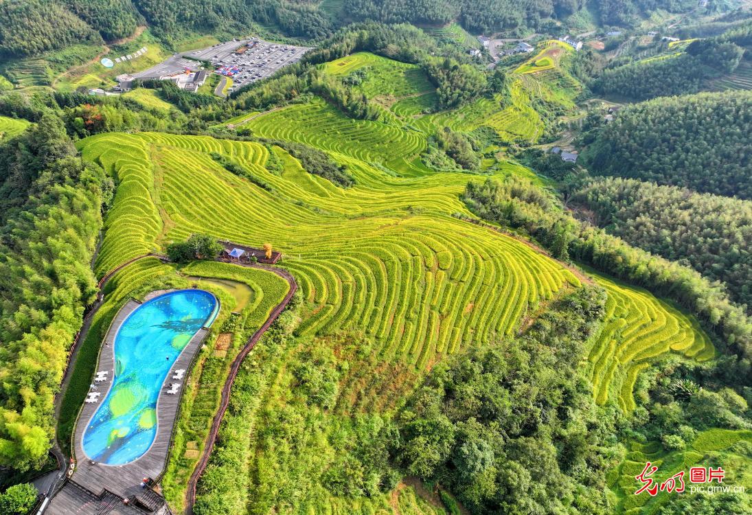 瞰金秋沃野 绘就新丰收图鉴