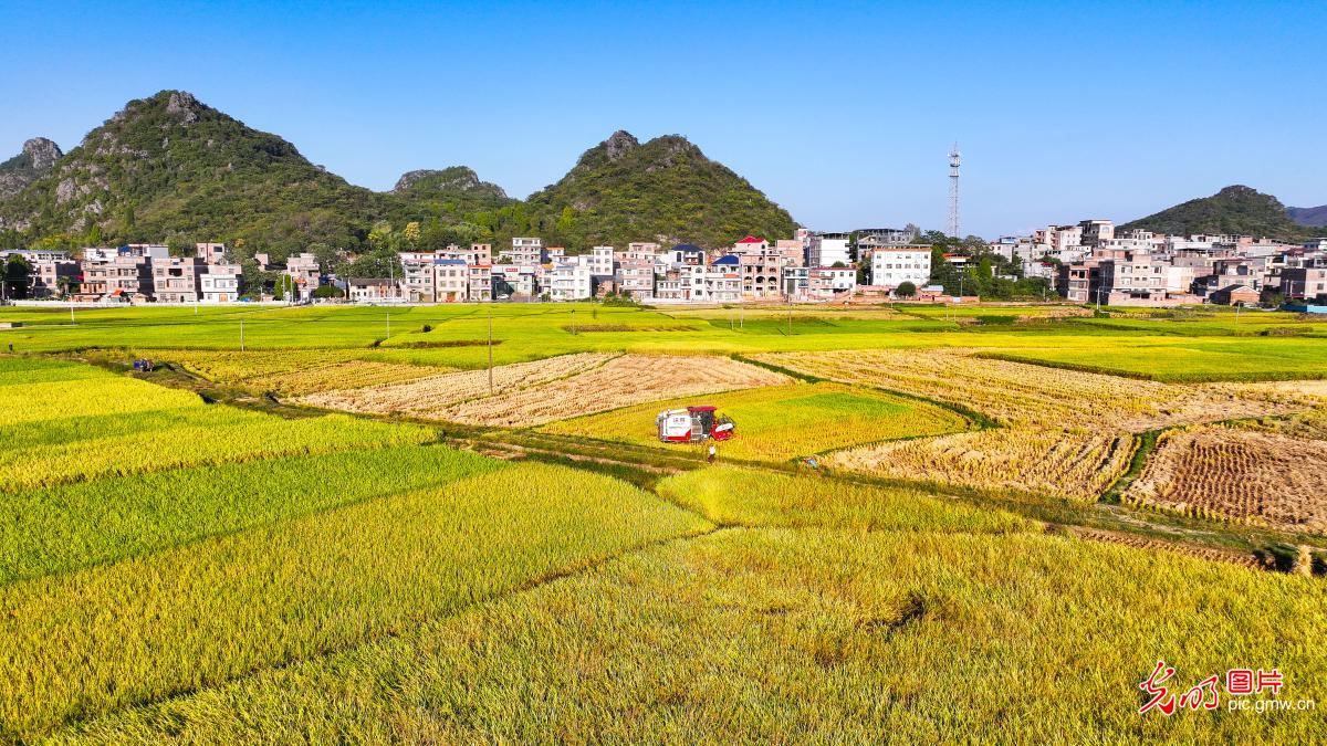 瞰金秋沃野 绘就新丰收图鉴