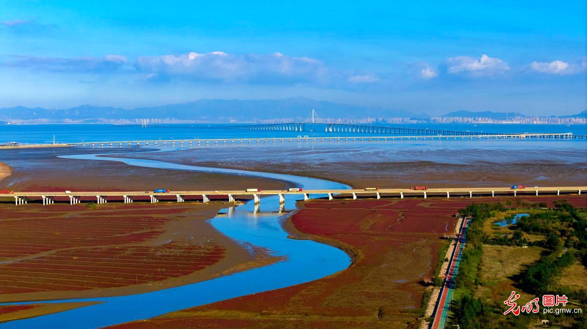 红海滩绚丽缤纷