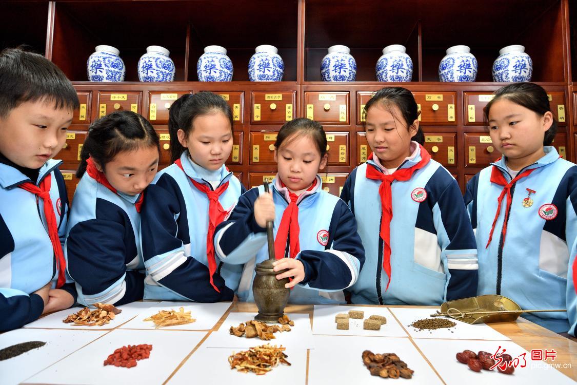 学习中医药知识 迎接“世界传统医药日”
