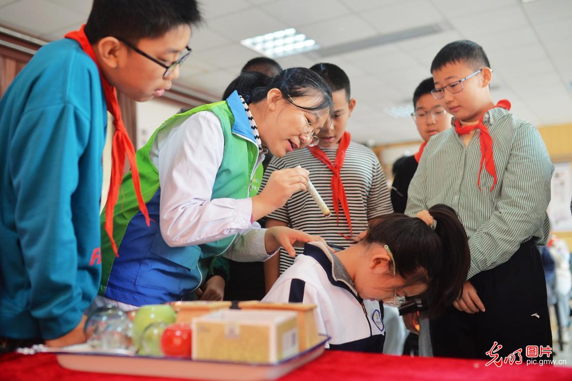 学习中医药知识 迎接“世界传统医药日”