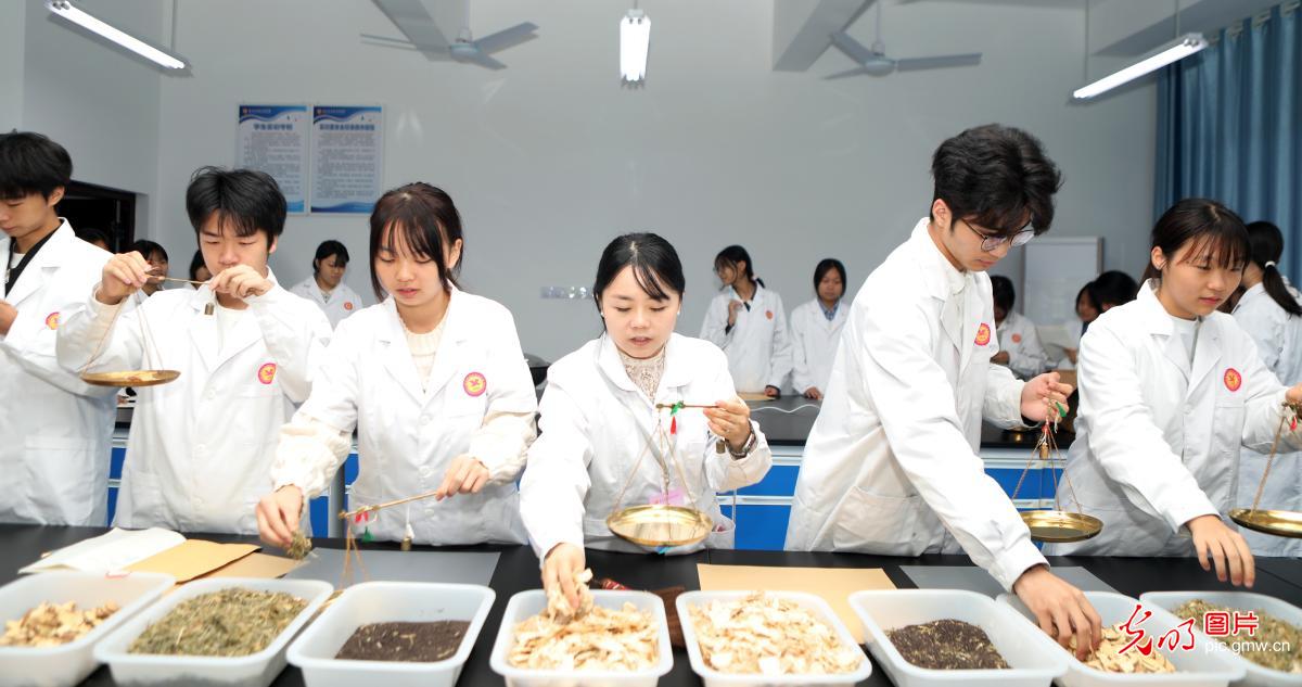 学习中医药知识 迎接“世界传统医药日”