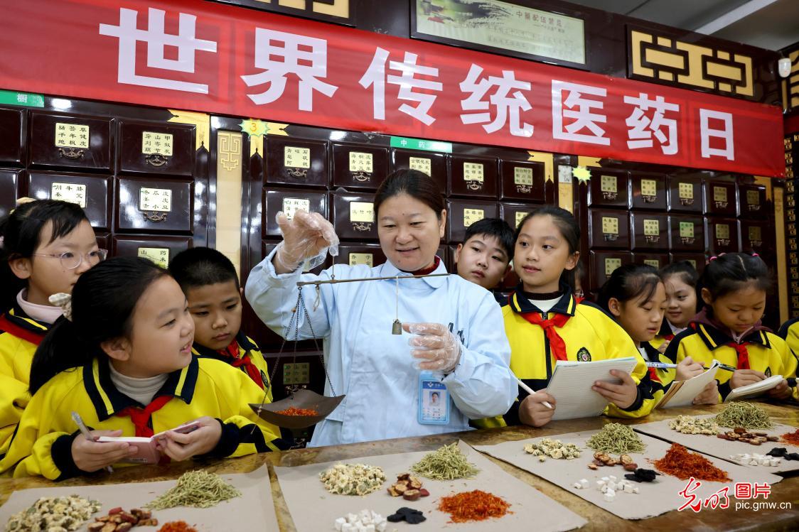 学习中医药知识 迎接“世界传统医药日”
