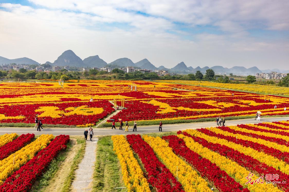 瑶乡花海 秋景迷人 瑶乡花海 秋景迷人