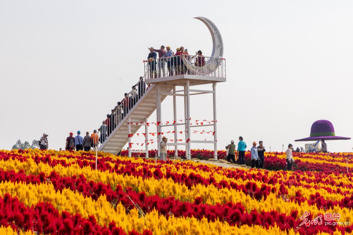 瑶乡花海 秋景迷人 瑶乡花海 秋景迷人