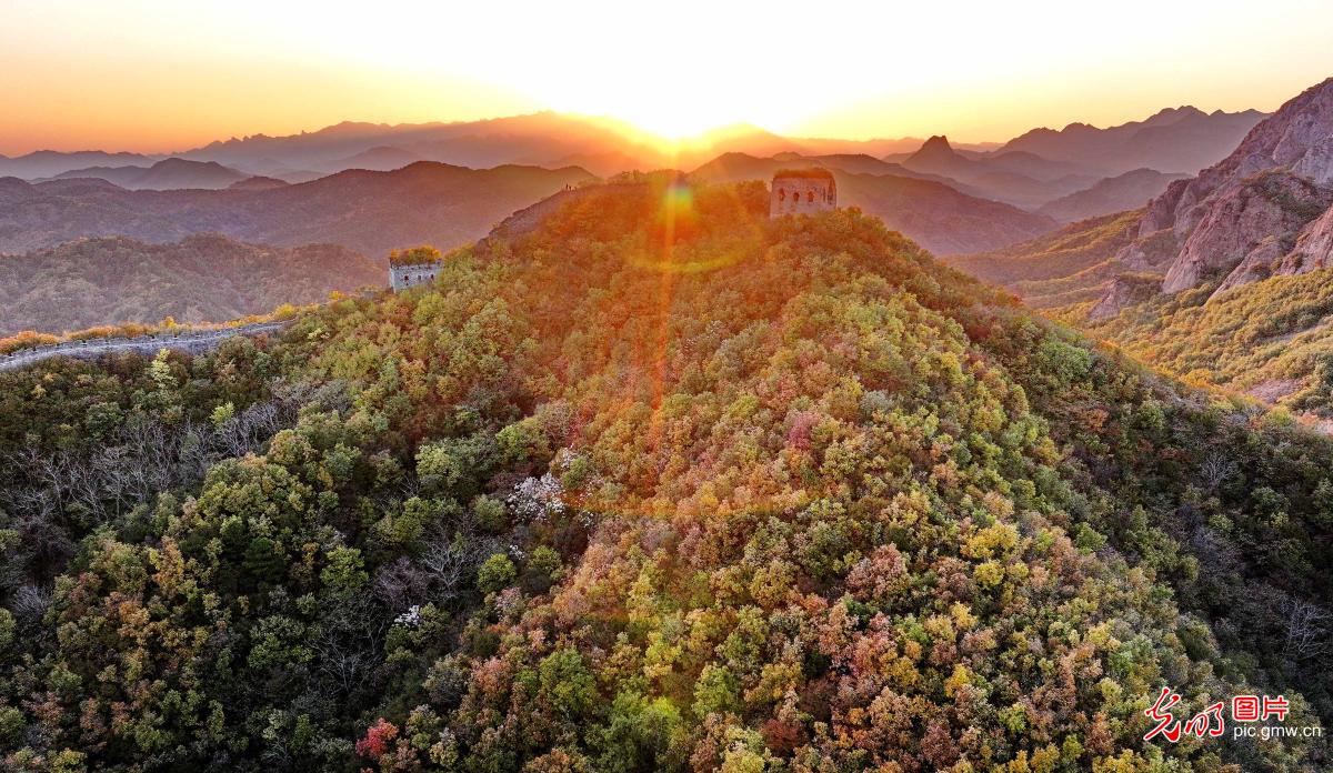 彩叶映长城 共绘秋日水彩画 彩叶映长城 共绘秋日水彩画