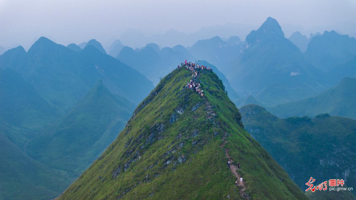 AI绘重阳 寻传统节日的变与不变
