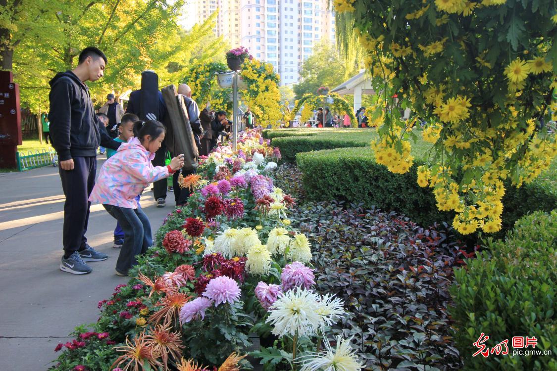 AI绘重阳 寻传统节日的变与不变