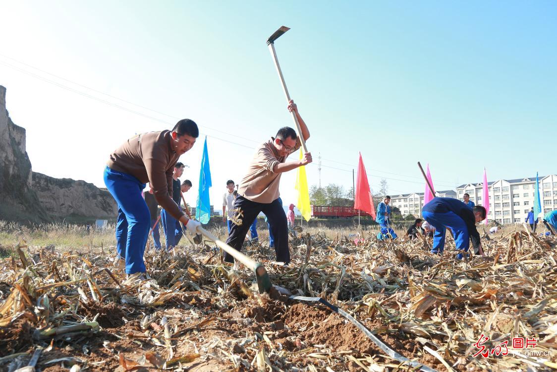 “田间地头”的劳动教育实践课
