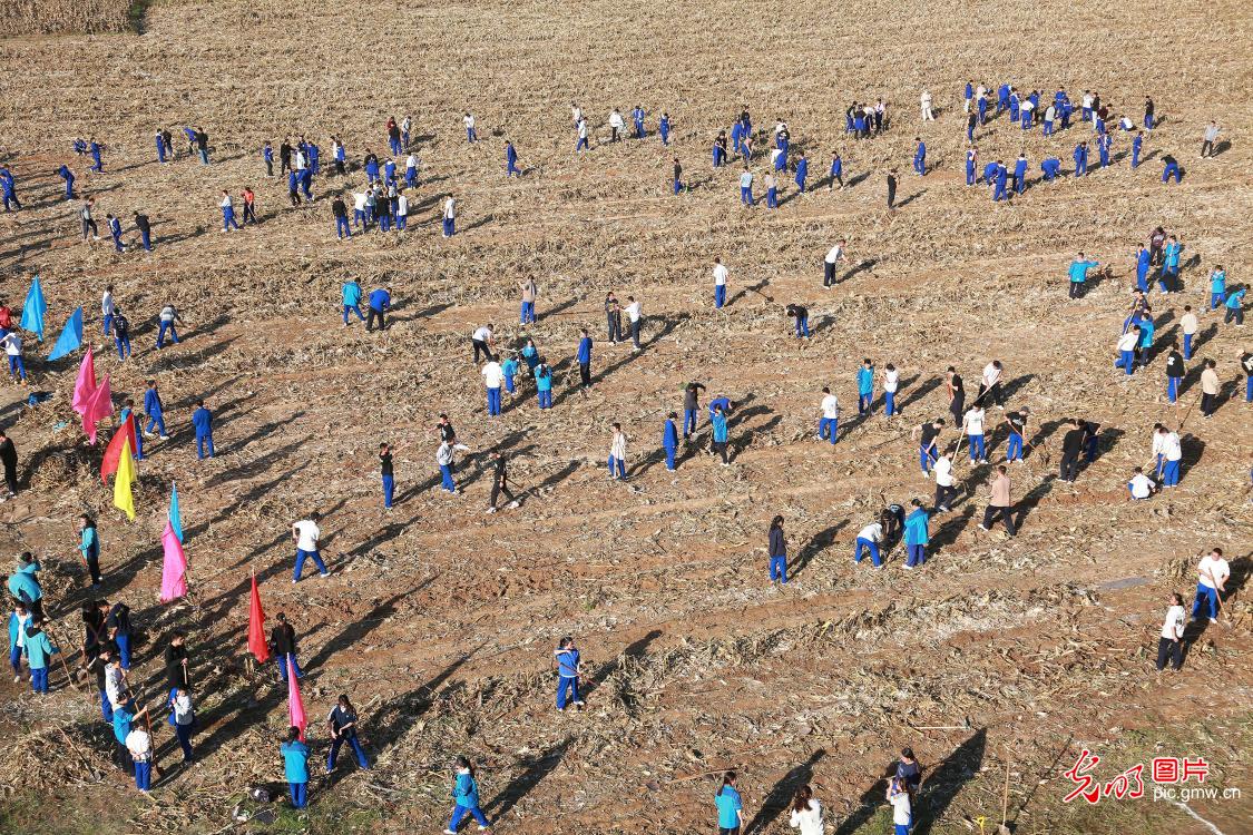 “田间地头”的劳动教育实践课