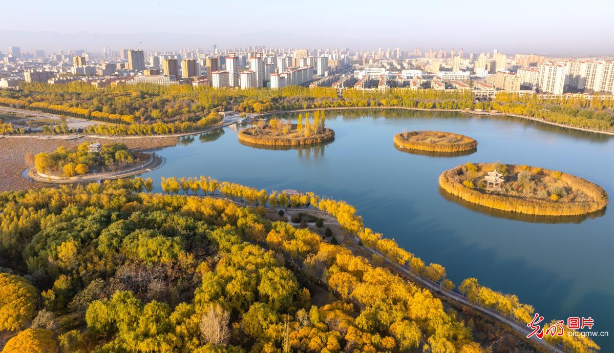 湿地焕彩 生态新景 湿地焕彩 生态新景