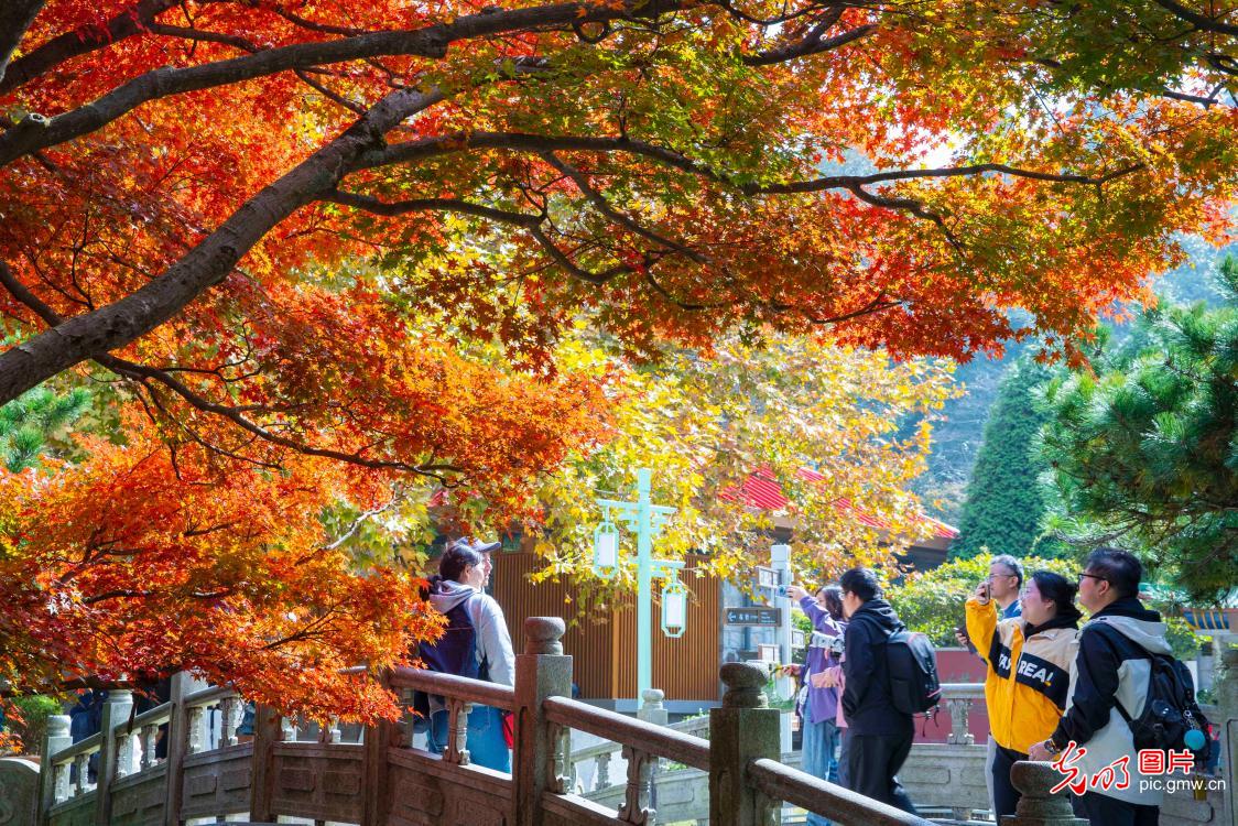 金秋时节山河锦绣 沉浸式感受全国“秋日限定”皮肤