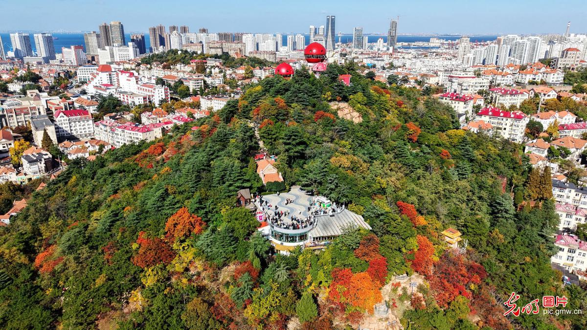 金秋时节山河锦绣 沉浸式感受全国“秋日限定”皮肤