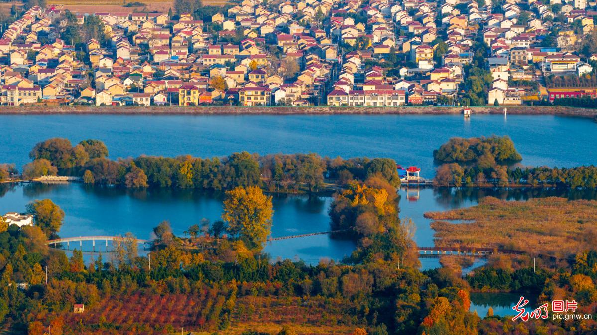 金秋时节山河锦绣 沉浸式感受全国“秋日限定”皮肤