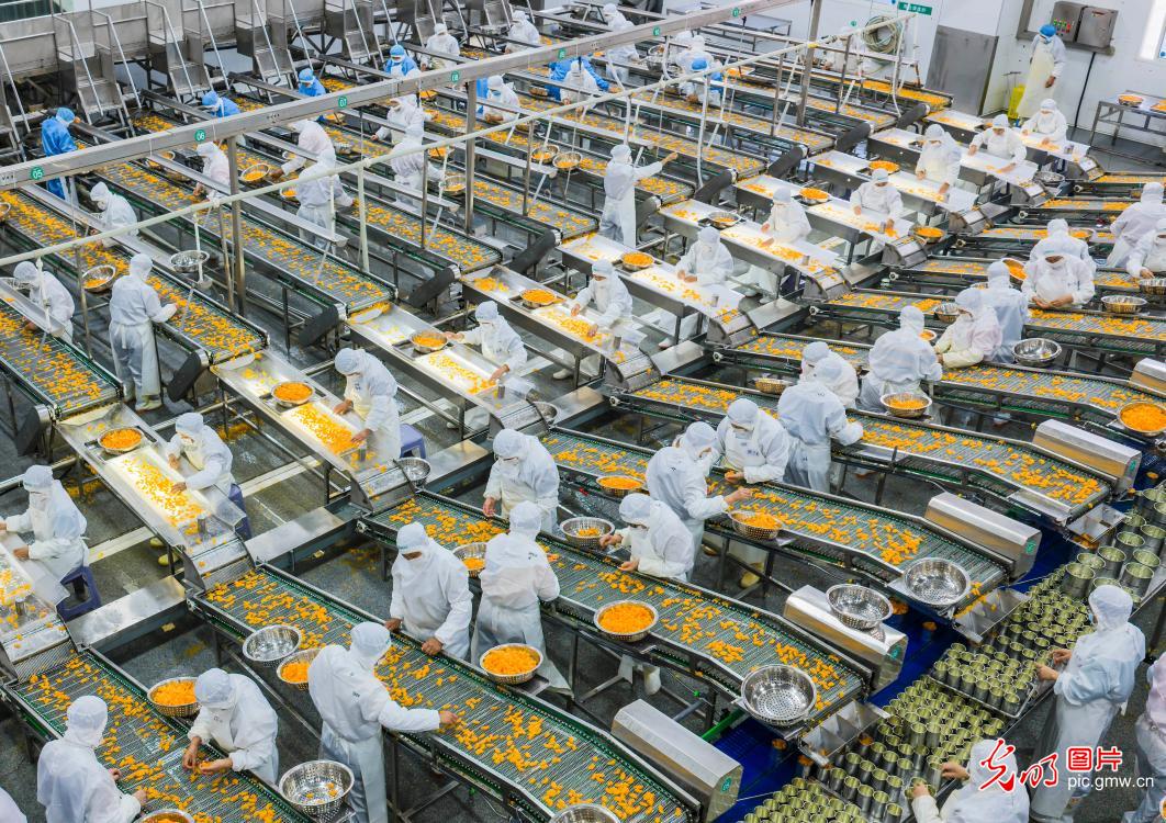 柑橘深加工出口旺 柑橘深加工出口旺