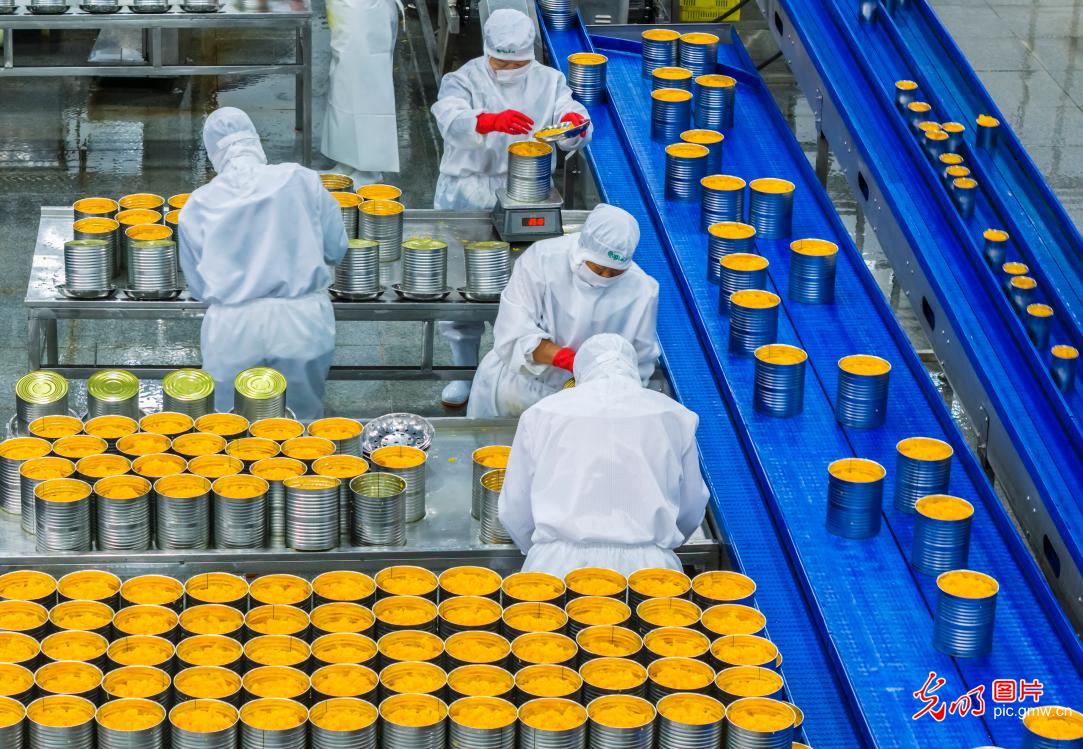 柑橘深加工出口旺 柑橘深加工出口旺