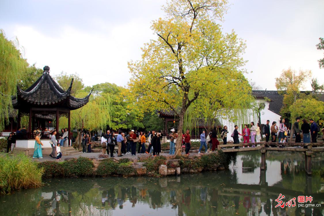 初冬拙政园色彩斑斓引客游