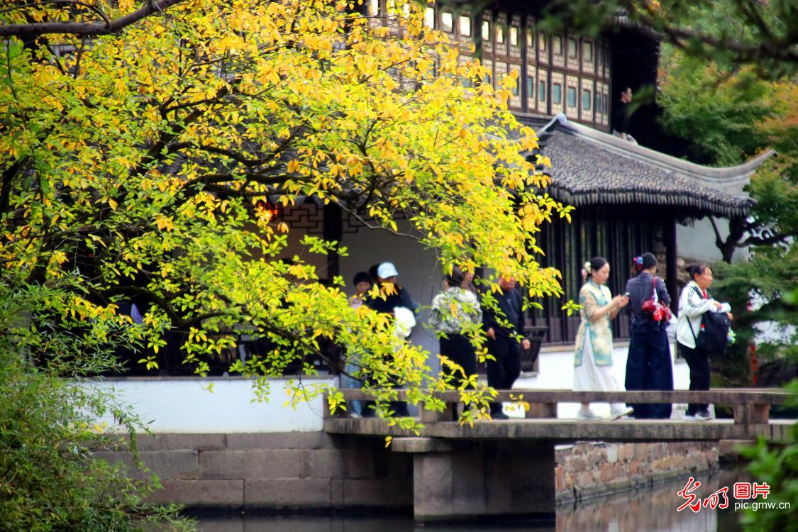 初冬拙政园色彩斑斓引客游