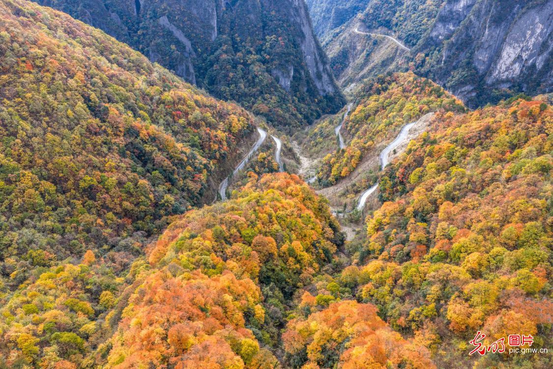 五里坡国家级自然保护区层林尽染