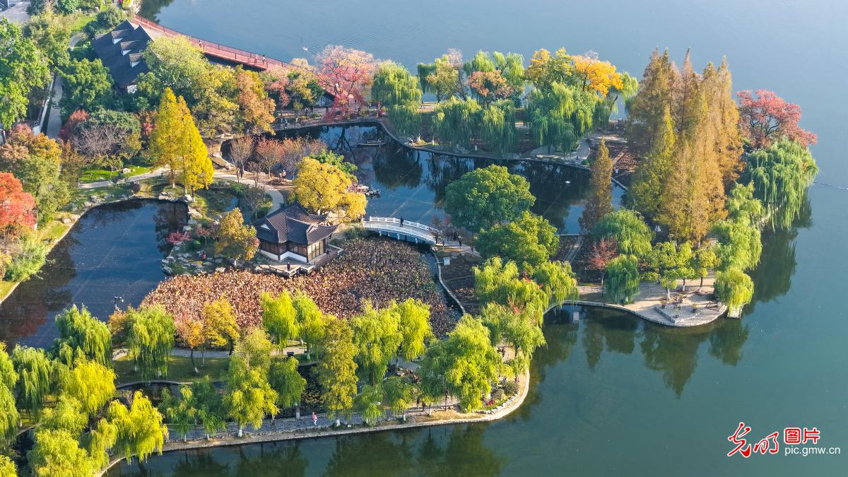 莫愁湖公园斑斓如画