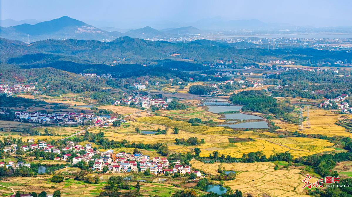 深秋乡村景色美