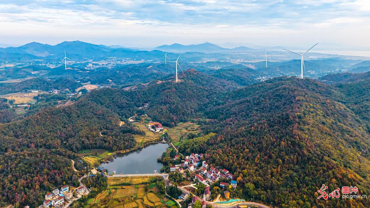 深秋乡村景色美