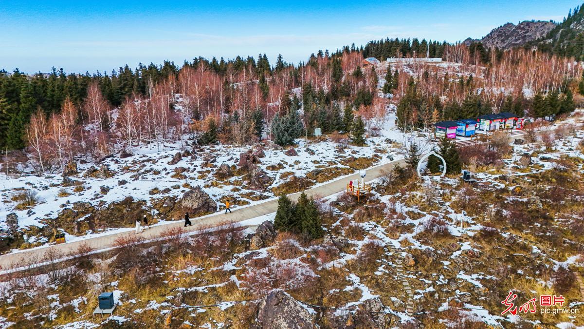 雪后云杉映天池 水墨丹青入画来