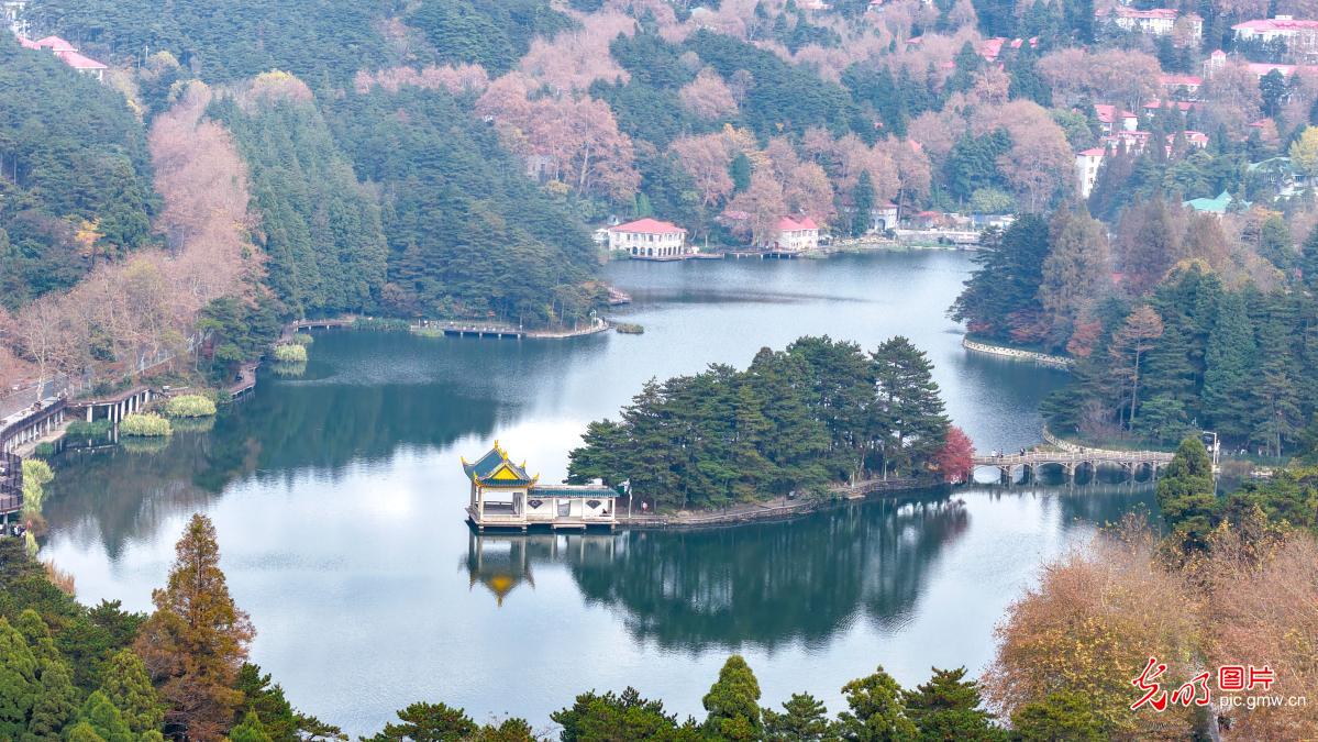 江西庐山开启金秋赏枫季 江西庐山开启金秋赏枫季