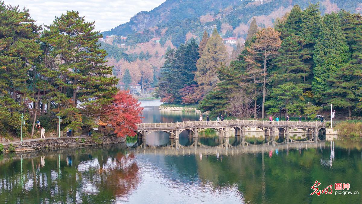 江西庐山开启金秋赏枫季 江西庐山开启金秋赏枫季