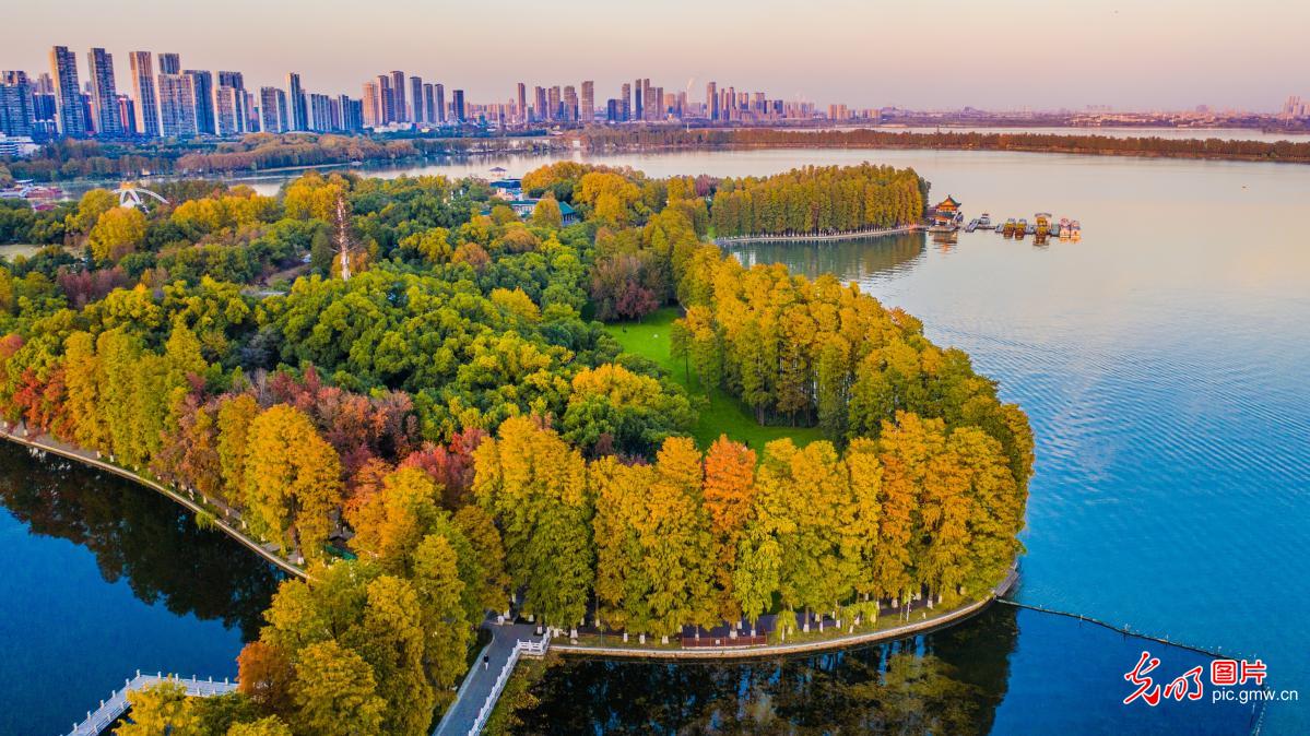 东湖秋景水天一色