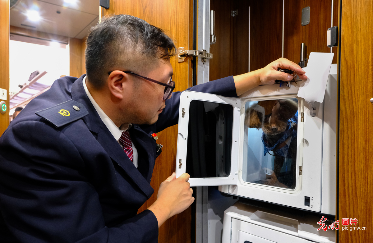 乘高铁携宠享乐游