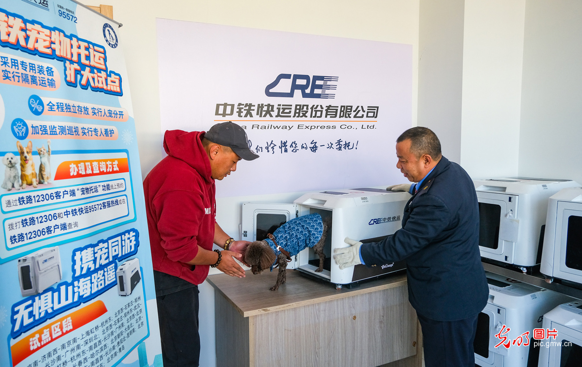 乘高铁携宠享乐游