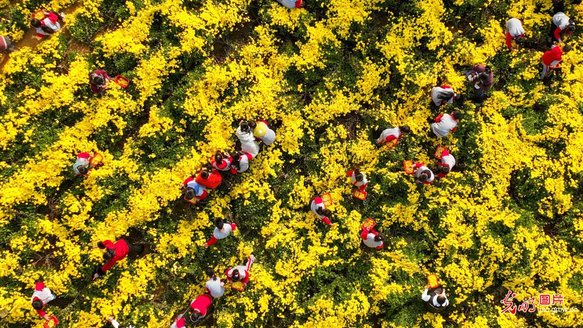 “田间课堂”助成长