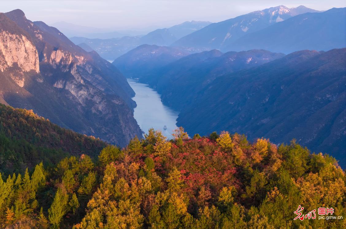 巫山红叶美如画