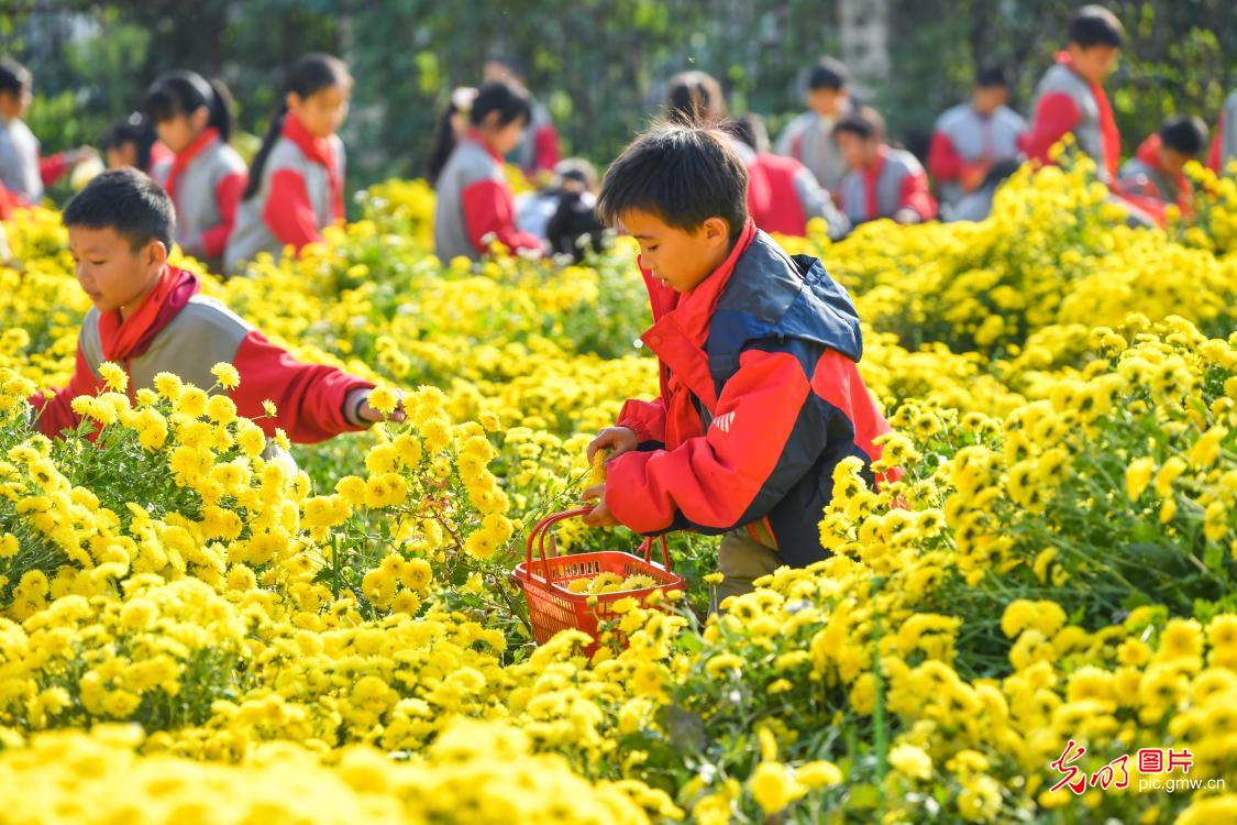 “田间课堂”助成长