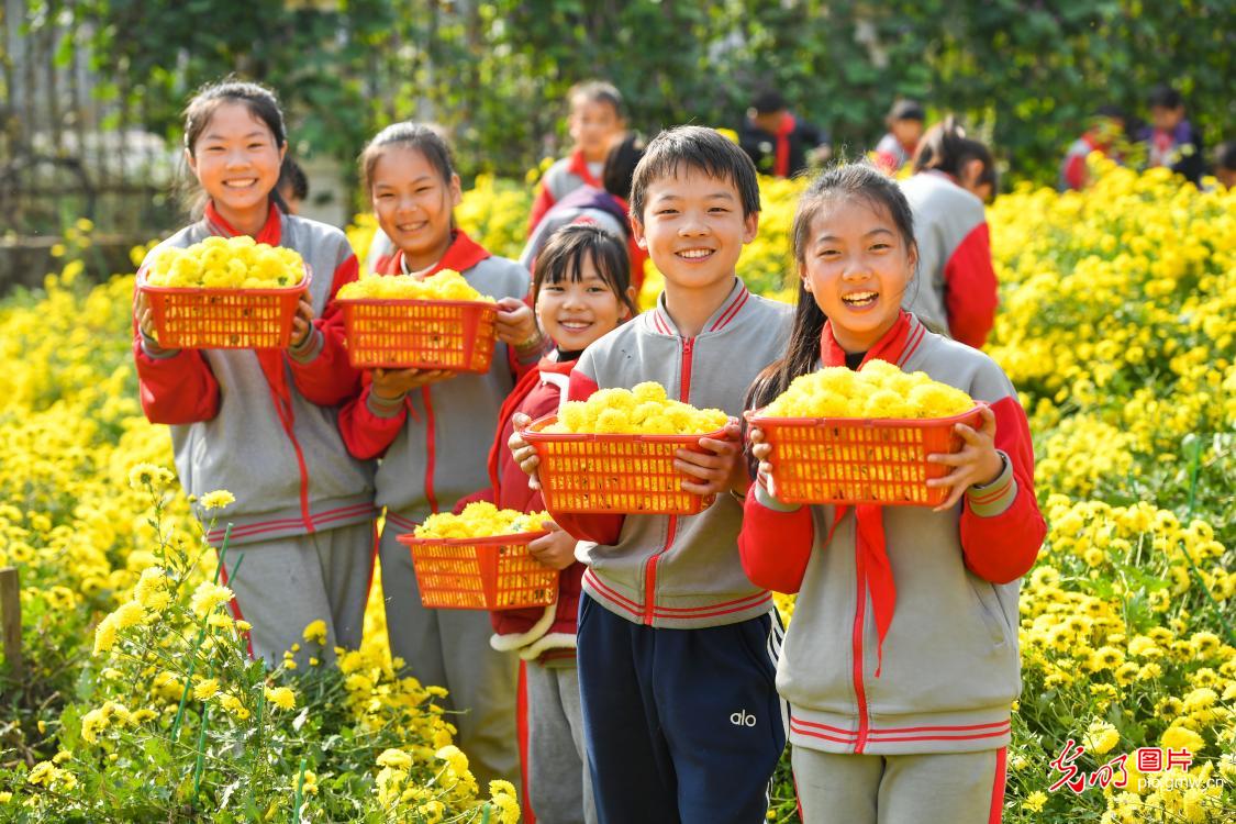 “田间课堂”助成长