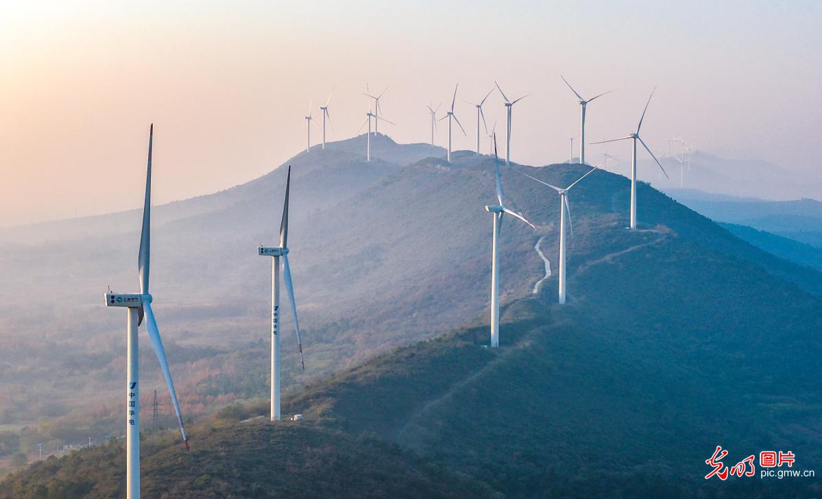 风力发电转出“绿色经济”