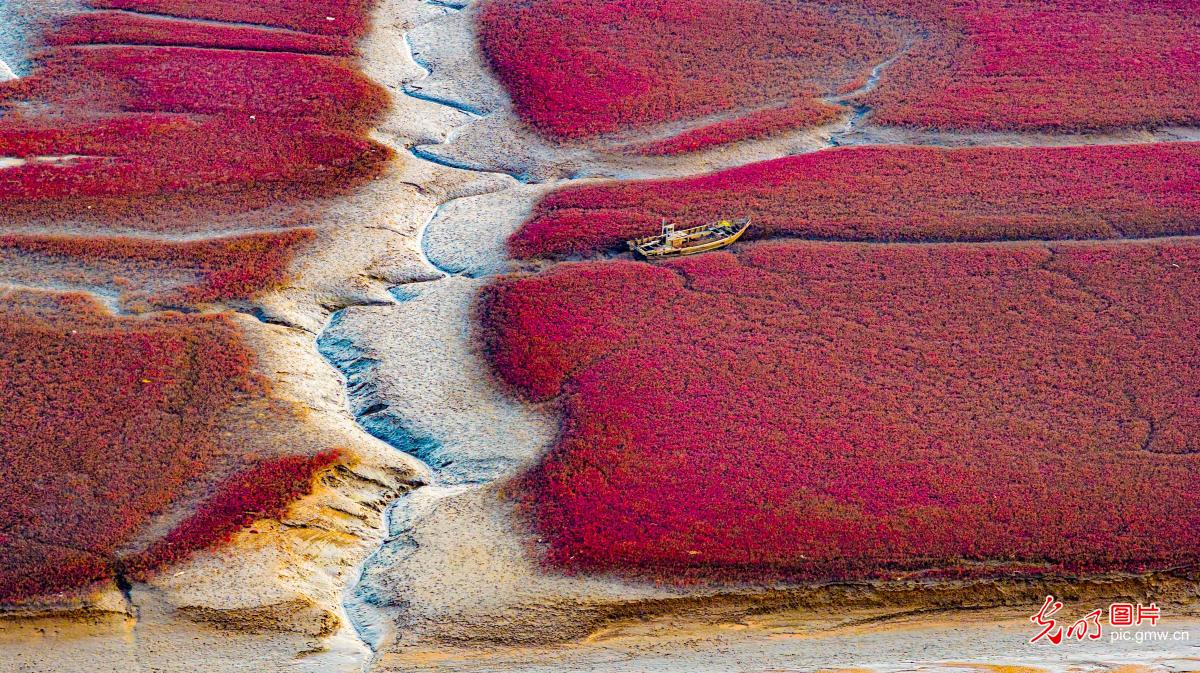 红毯铺岸 河海如画