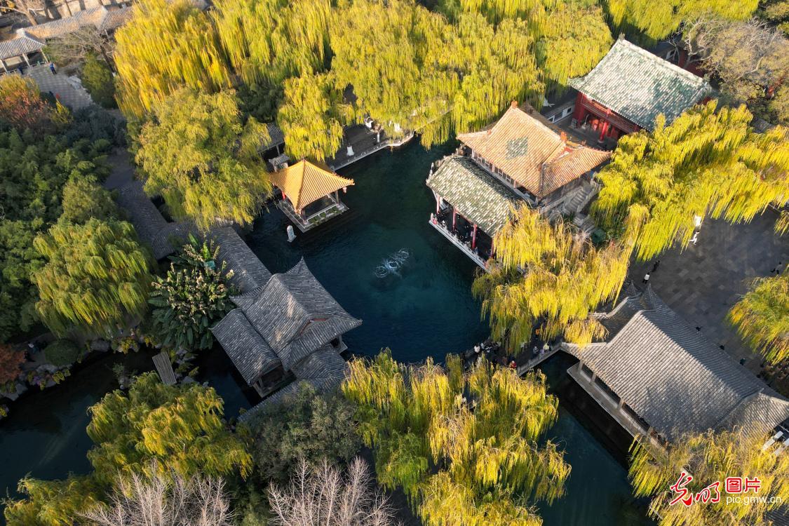 泉城斑斓如画 初冬美景醉人