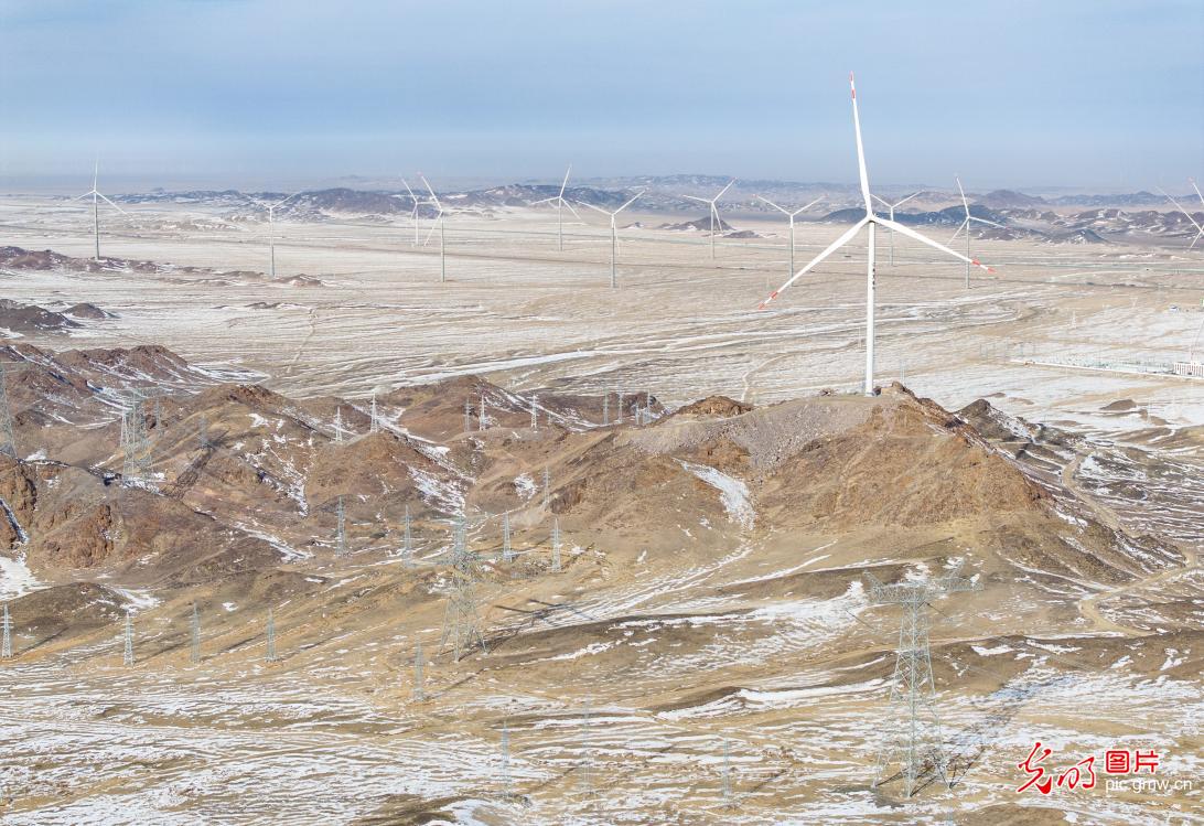 风机迎风 奏响绿色能源乐章