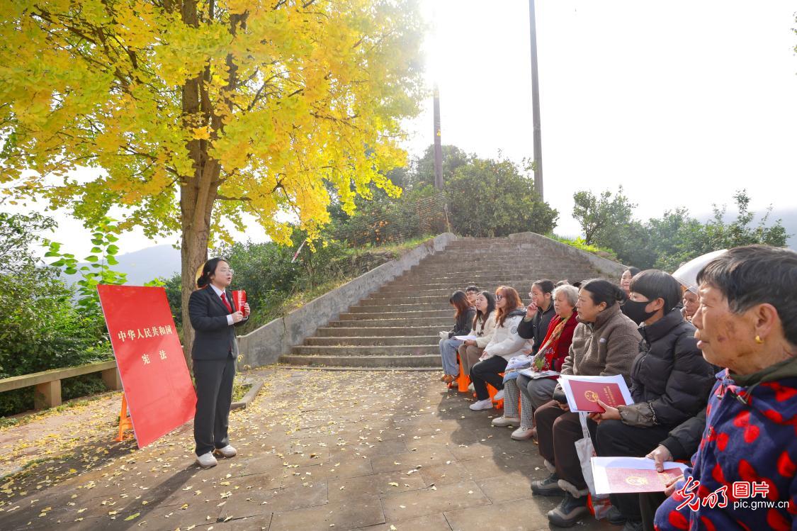 【尊宪崇法】大江南北传法治音——国家宪法日普法教育全景图