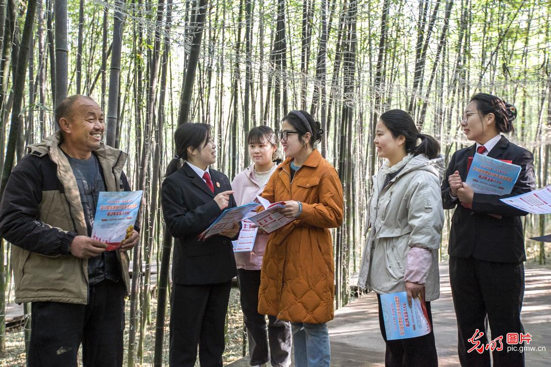 【尊宪崇法】大江南北传法治音——国家宪法日普法教育全景图