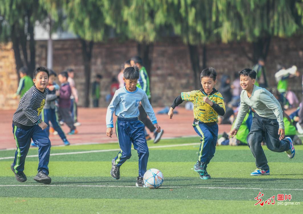 快乐足球 绿茵逐梦 快乐足球 绿茵逐梦