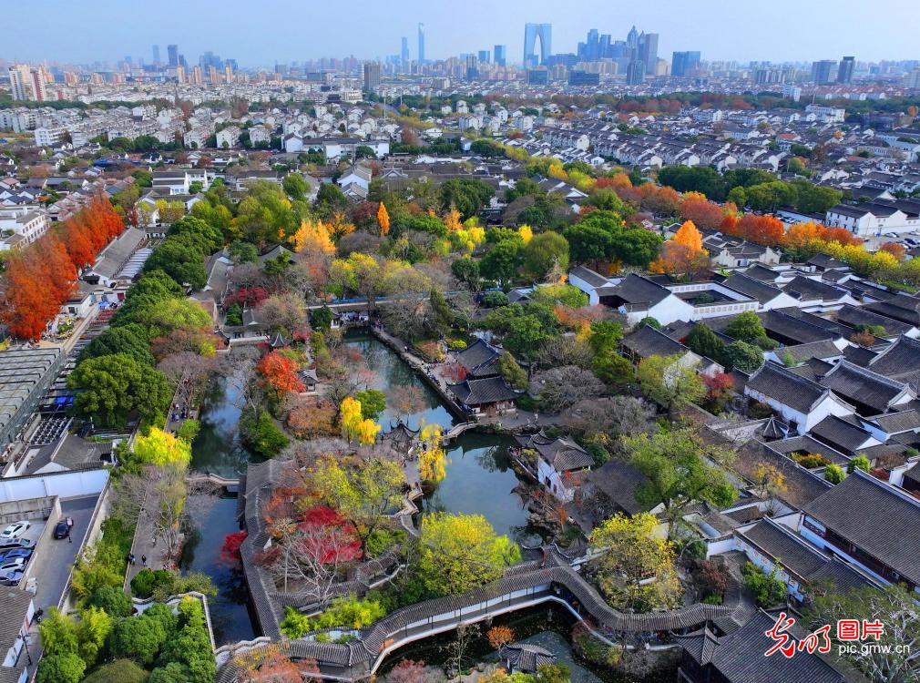 苏州拙政园色彩斑斓冬景美